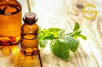 Mint Extract