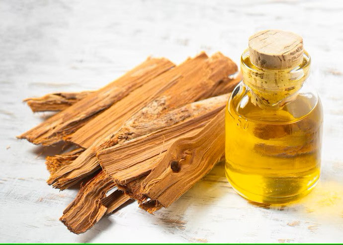 Willow Bark Extract