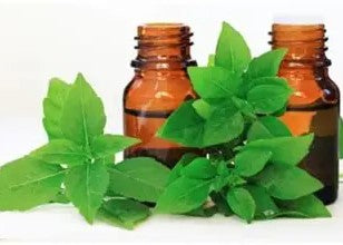 Basil Hydrosol