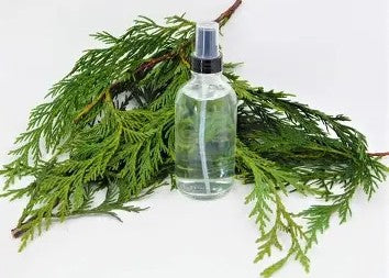 Cedar Wood Hydrosol