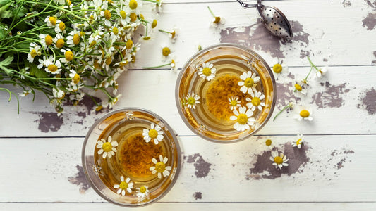 Chamomile Extract