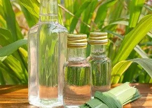 Citronella Hydrosol