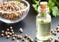 Coriander Hydrosol