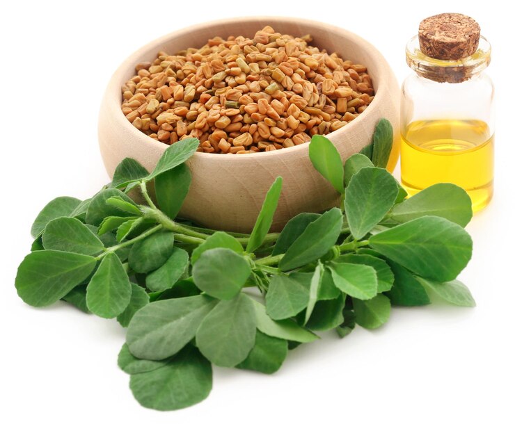 Fenugreek Extract