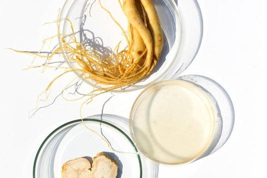 Ginseng Extract