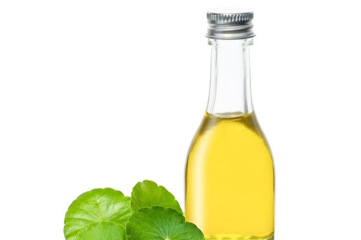 Gotu Kola Extract