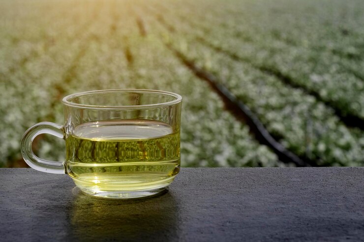 Green Tea Extract