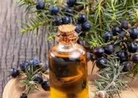 Juniper Berry Hydrosol