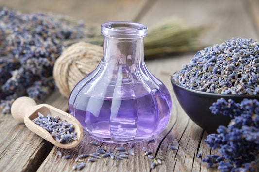 Lavender Fragrance