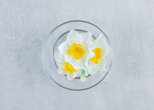 Lilly Hydrosol