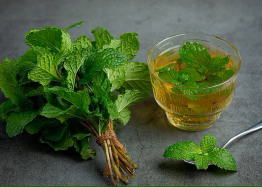 Peppermint Hydrosol