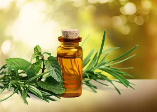 Tea Tree Extract