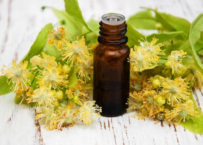 Witch Hazel Extract